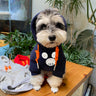 Cat Cozy Pup Hoodie