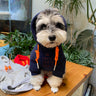 Letter Viral Pup Hoodie