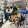 G Woven Strap Dog
