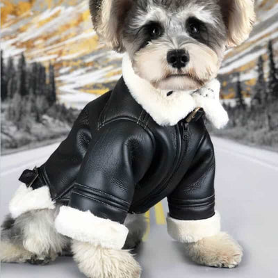 Black Leather Dog Posh Coat