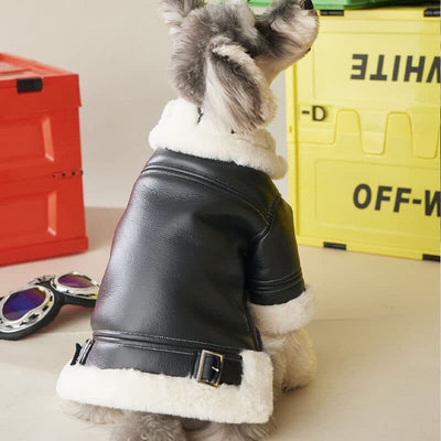 Black Leather Dog Posh Coat