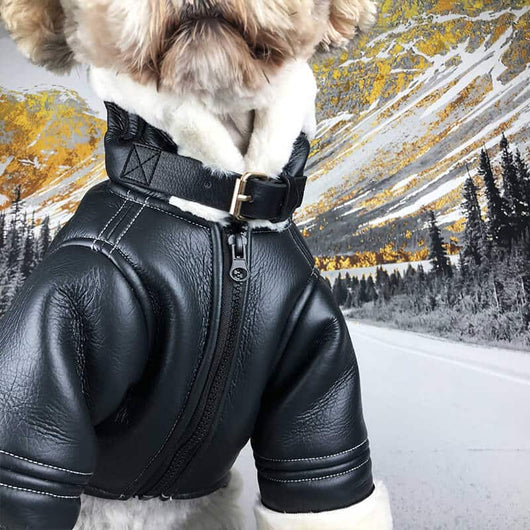 Black Leather Dog Posh Coat