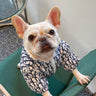 Luxury Dog Rain Jacket Dog Cotton Vibrant Clothes