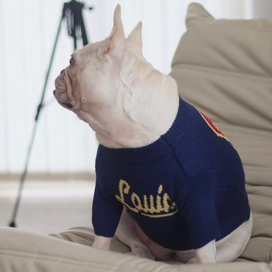 Blue Dog Washed Sweaters