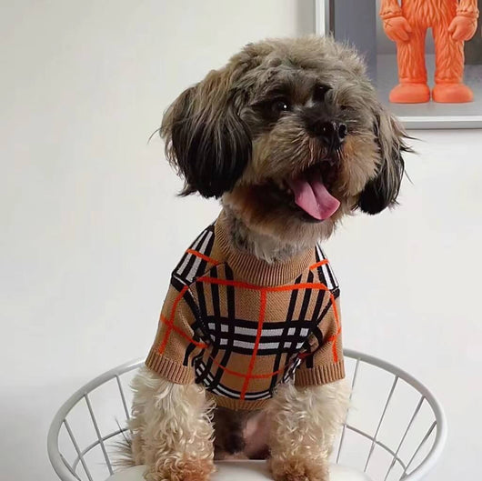 Medium Dog Edgy Clothes