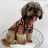 Medium Dog Edgy Clothes