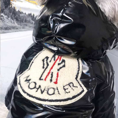 Cool Winter Dog Fire Downjacket
