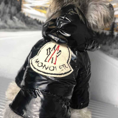 Cool Winter Dog Fire Downjacket