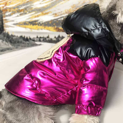 Cool Winter Dog Fire Downjacket