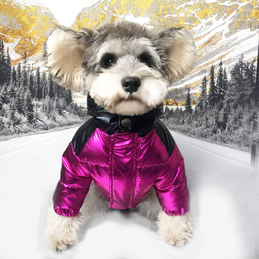 Cool Winter Dog Fire Downjacket