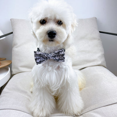 Doggy Lux Offbeat Tie