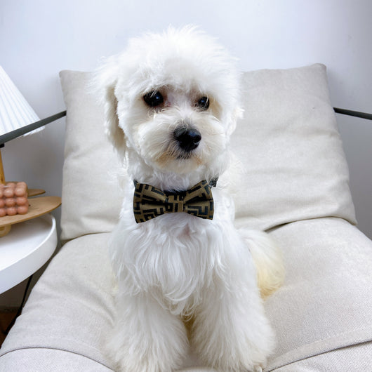 Doggy Lux Offbeat Tie