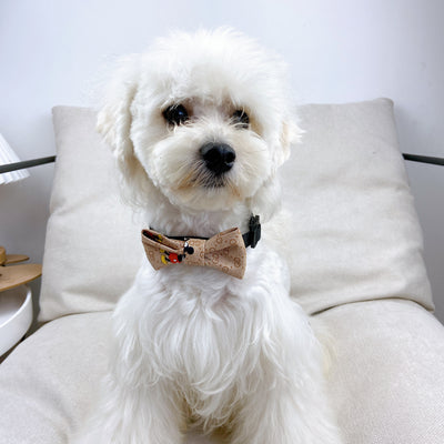Doggy Lux Offbeat Tie