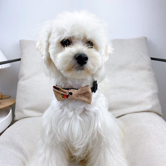 Doggy Lux Offbeat Tie
