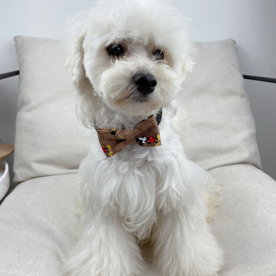 Doggy Lux Offbeat Tie