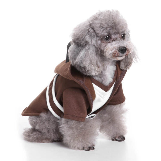 Obi Wan Kenobi Dog Sleek Costume