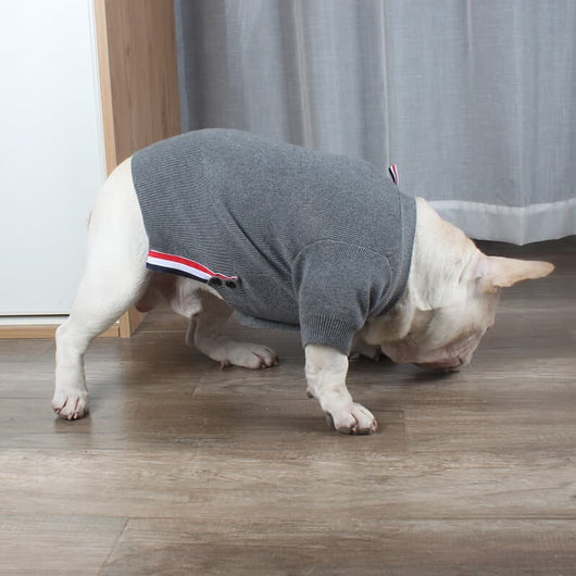 Pet Raw Sweaters