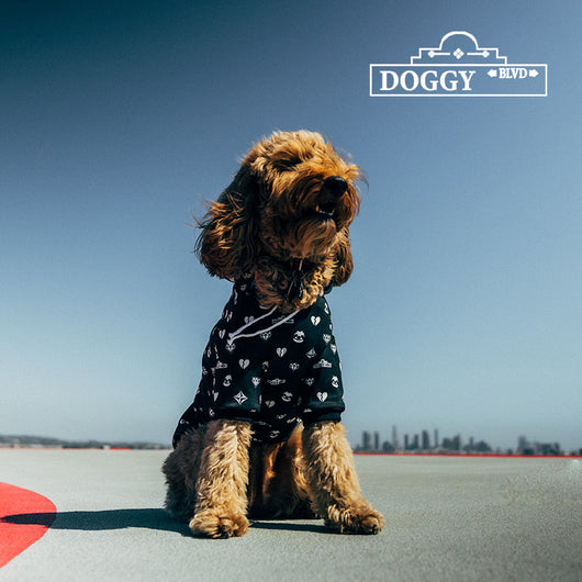 Doggy Blvd X Slothacid Collab Dope Hoodie