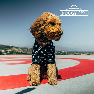 Doggy Blvd X Slothacid Collab Dope Hoodie