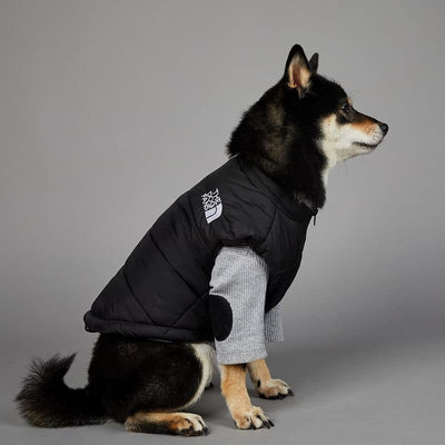 Black Puffer Jacket Dog Fresh Coat