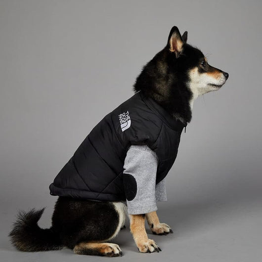 Black Puffer Jacket Dog Fresh Coat