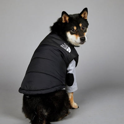 Black Puffer Jacket Dog Fresh Coat