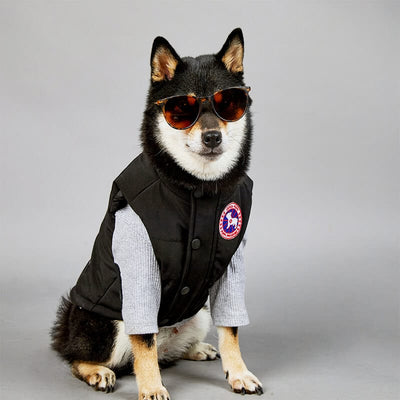 Black Puffer Jacket Dog Fresh Coat