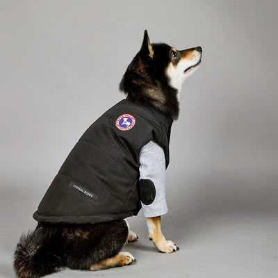Black Puffer Jacket Dog Fresh Coat
