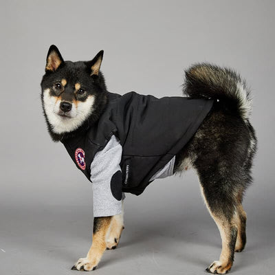 Black Puffer Jacket Dog Fresh Coat