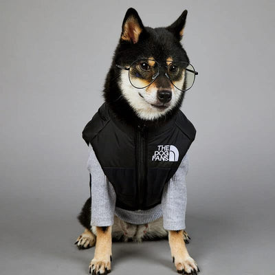 Black Puffer Jacket Dog Fresh Coat