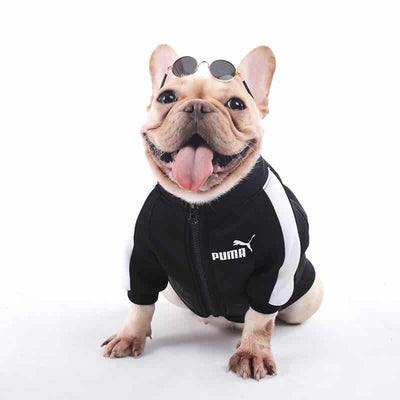 Ruma Dog Fashion Unseen Jacket