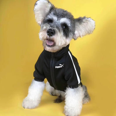 Ruma Dog Fashion Unseen Jacket