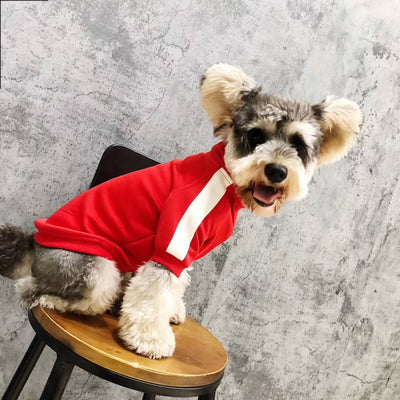 Ruma Dog Fashion Unseen Jacket