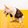 Luxury Coffee Puppy Fire Sweater