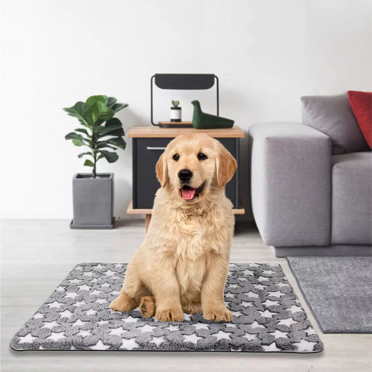 LV Self Warming Pet Whimsical Bed