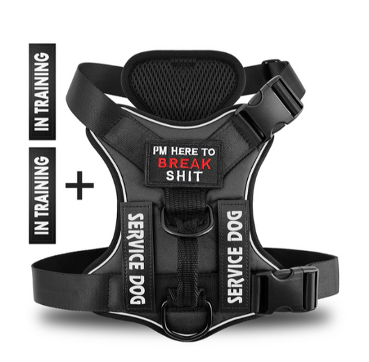 Harnais Hound Hustle