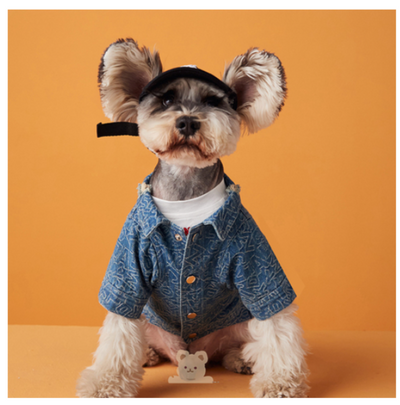 Summer Denim Doggo Vibrant Shirt