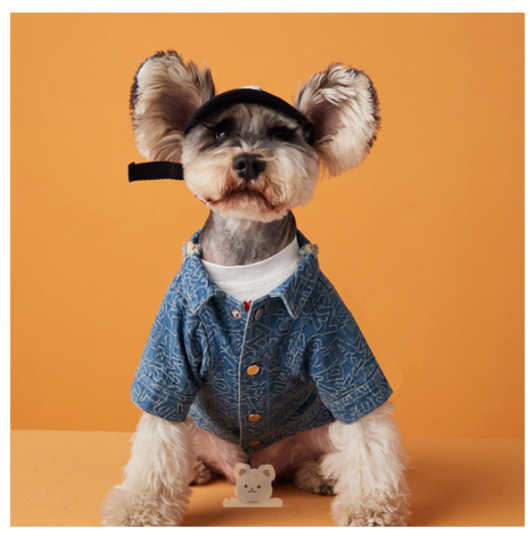 Summer Denim Doggo Vibrant Shirt