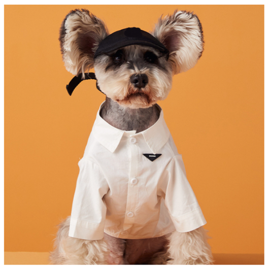 Summer Denim Doggo Vibrant Shirt