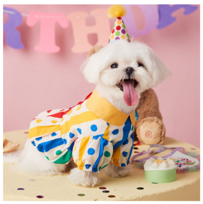 Summer Denim Doggo Vibrant Shirt