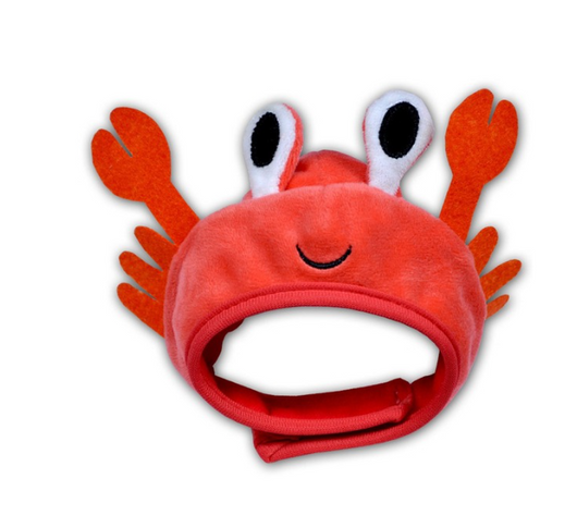 Chapeau moelleux et mignon pour chiot