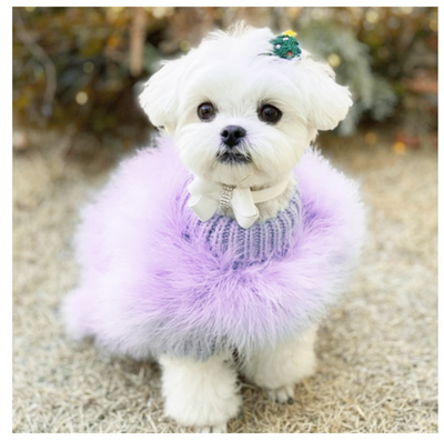 Plush Posh Pup Soft Cozy Golden Sweater