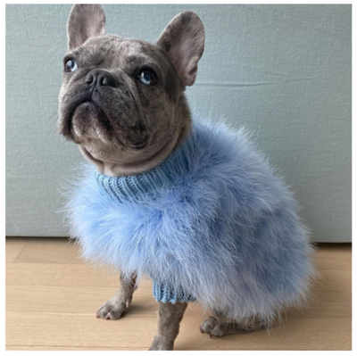 Plush Posh Pup Soft Cozy Golden Sweater