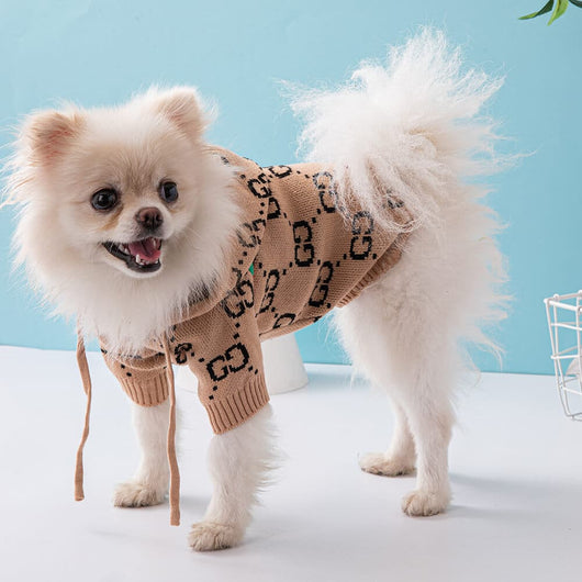 Warm Dog Hoody Flash Sweaters