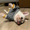 Winter Greay Dog Flex Sweaters
