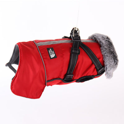 Winter Dog Sketchy Jacket