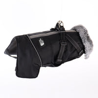 Winter Dog Sketchy Jacket