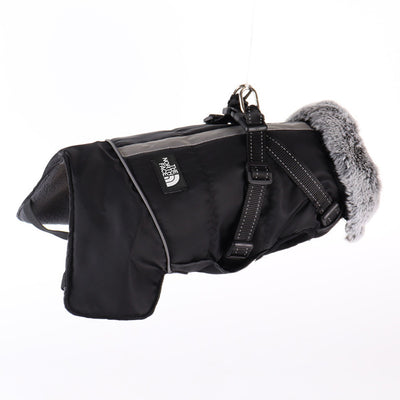 Winter Dog Sketchy Jacket