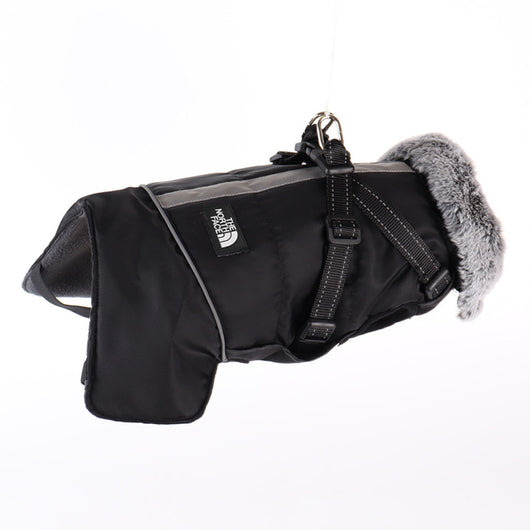 Winter Dog Sketchy Jacket