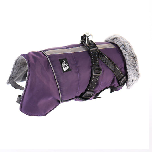 Winter Dog Sketchy Jacket